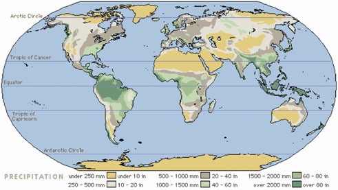 Fig 2 - Global average annual precipitation